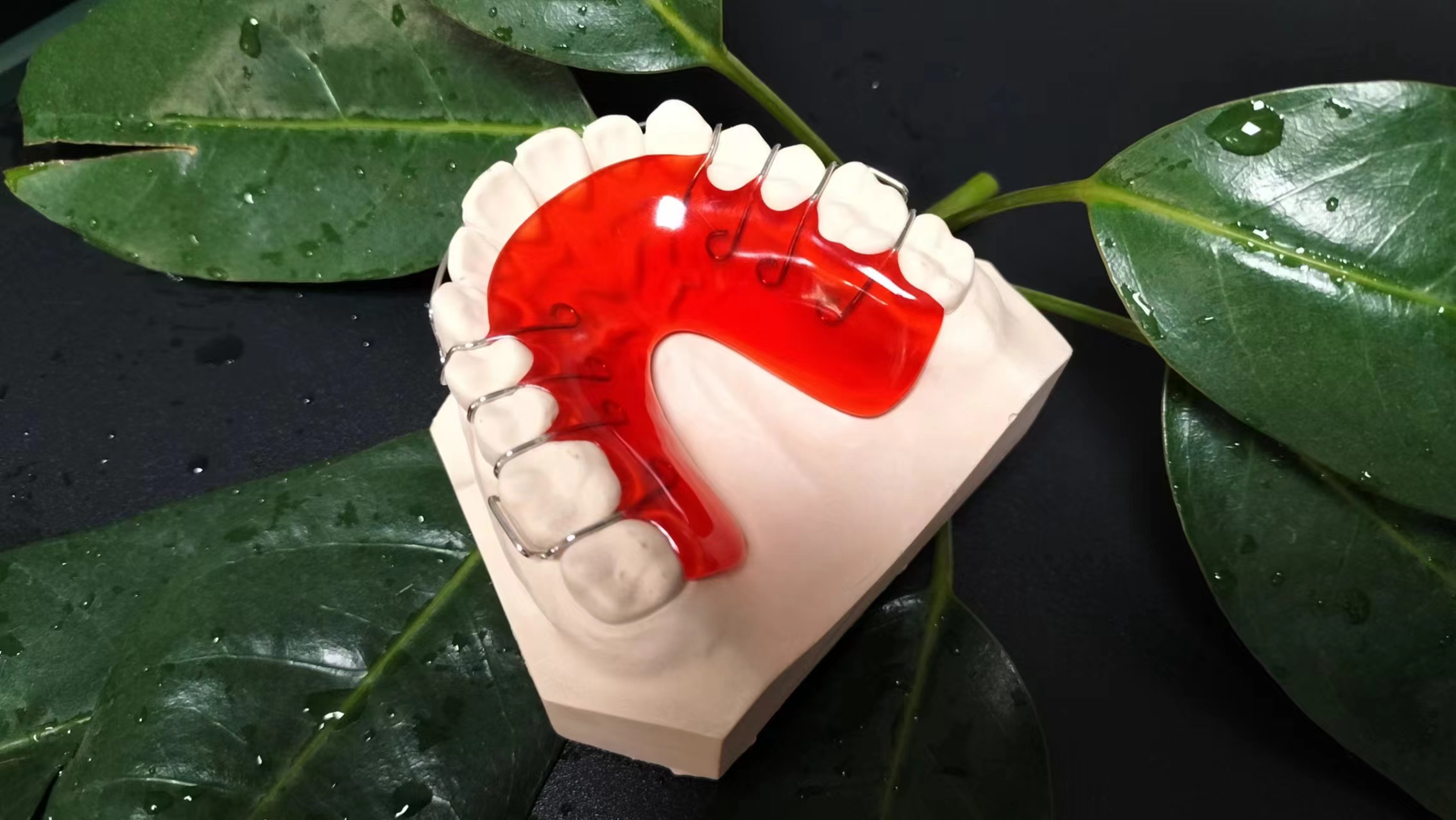 成都義齒維護|成都義齒廠家